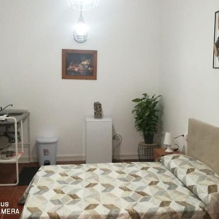 Candelaria Estudio1-Garoe المظهر الخارجي الصورة